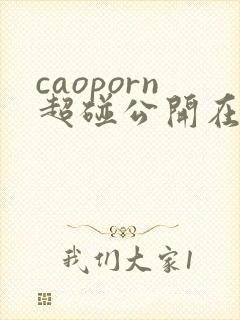caoporn超碰公开在线