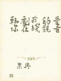 韩剧我的爱属于你在线观看