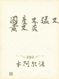 国产又猛又粗又黄又爽