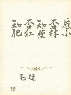 知否知否应是绿肥红瘦林小娘结局