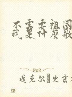 不需要祖国记得我是什么歌