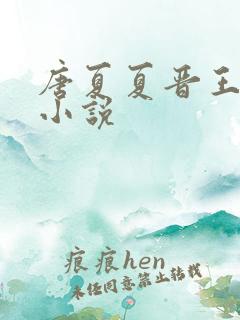 唐夏夏晋王穿越小说