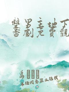 双男主地下偶像番剧免费观看