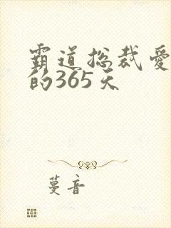 霸道总裁爱上我的365天