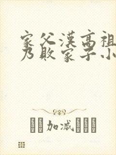 家父汉高祖,吾乃败家子小说版