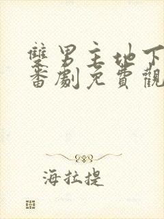 双男主地下偶像番剧免费观看