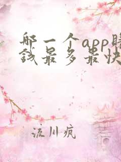 哪一个app赚钱最多最快?