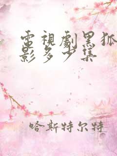 电视剧黑狐之风影多少集