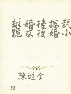 离婚后总裁天天跪求复婚小说