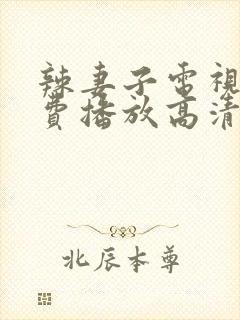 辣妻子电视剧免费播放高清