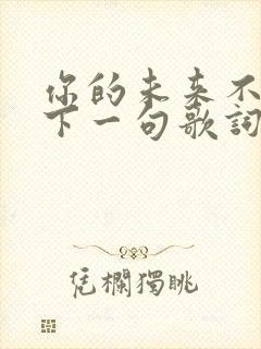 你的未来不是梦下一句歌词