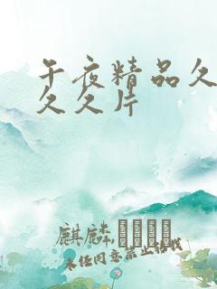 午夜精品久久久久久片