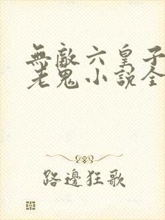 无敌六皇子梁山老鬼小说全集免费看