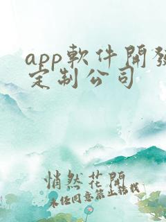 app软件开发定制公司