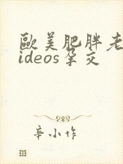 欧美肥胖老太videos孕交