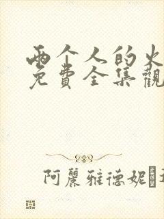 两个人的火山口免费全集观看