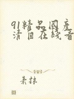 91精品国产高清自在线看超