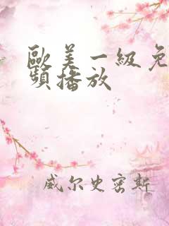 欧美一级免费视频播放