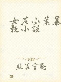 女友小叶暴露调教小说