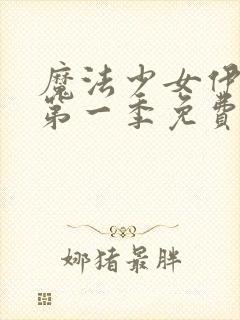 魔法少女伊莉雅第一季免费看