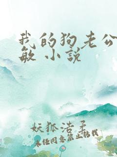 我的狗老公张淑敏 小说