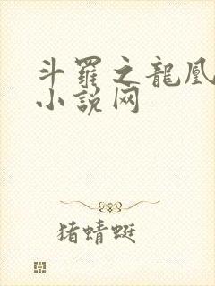 斗罗之龙凰传说小说网