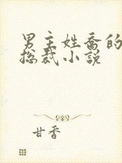 男主姓乔的霸道总裁小说