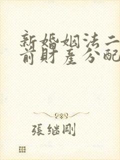 新婚姻法二婚婚前财产分配