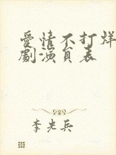 爱情不打烊电视剧演员表