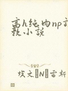 高h纯肉np调教小说