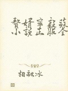 赘婿宁毅苏檀儿小说正版全文下载