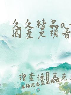 久久精品a一级国产免视看成人