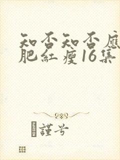 知否知否应是绿肥红瘦16集