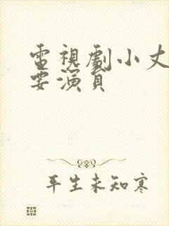 电视剧小丈夫主要演员