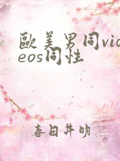 欧美男同videos同性