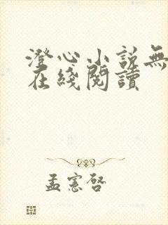 澄心小说无删减在线阅读