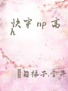 快穿 np 高h