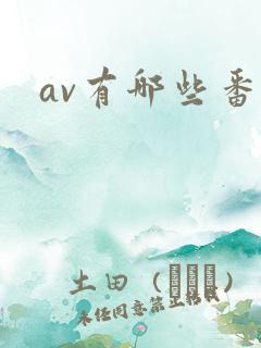 av有哪些番号