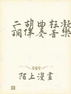 二胡曲枉凝眉g调伴奏音乐