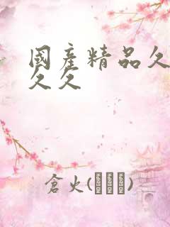 国产精品久久久久久