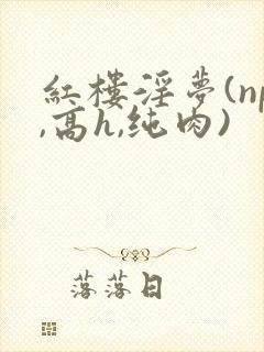 红楼淫梦(np,高h,纯肉)