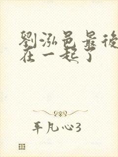 刘泓邑最后和谁在一起了