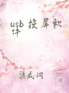 usb 投屏软件