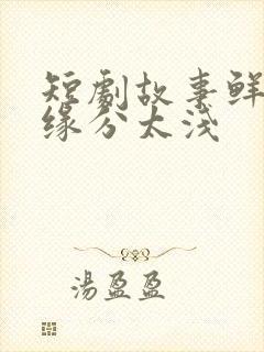 短剧故事鲜艳而缘分太浅