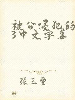 被公侵犯的人妻3中文字幕