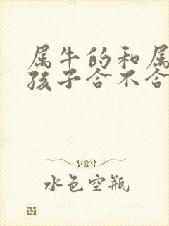 属牛的和属马的孩子合不合