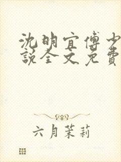 沈明宜傅少弦小说全文免费阅读