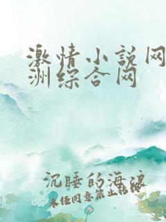 激情小说网站亚洲综合网