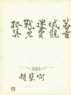 孤战迷城第40集免费观看