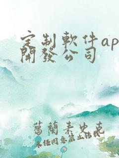 定制软件app开发公司